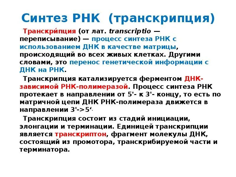 Синтез РНК. Синтез РНК транскрипция. Синтез ИРНК. Процесс транскрипции РНК.