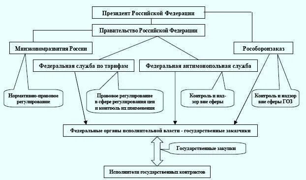 Организационная структура ветеринарии в РФ. Структура управления Российской Федерации. Схема правительства Российской Федерации. Органы антимонопольного регулирования в РФ.