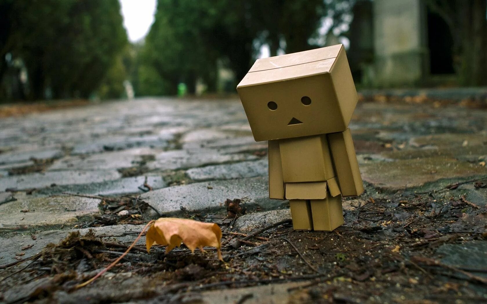 Caroline Danbo. Человек с коробкой. Маленькие человечки. Картонный человечек Danbo. Смешная грустная жизнь