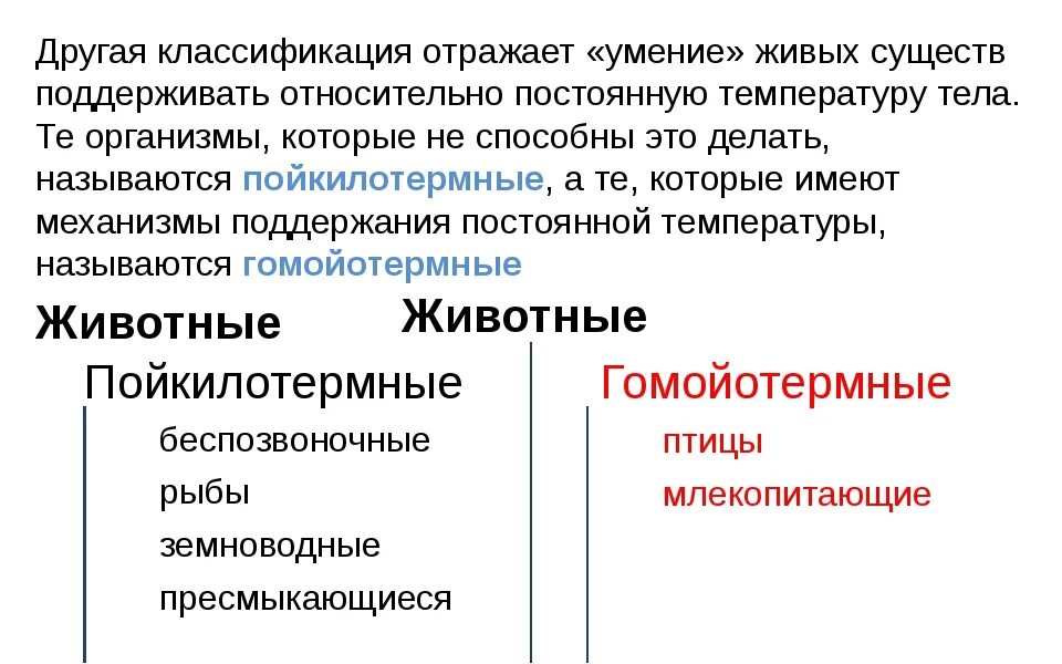 Экологические группы классификация. Классификация организмов по отношению к температуре. Экологические группы по отношению к температуре животные. Животные по отношению к температуре классификация. Экологические группы животных по отношению к теплу.