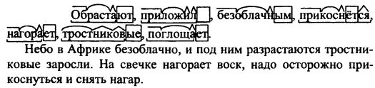 Крошка морфемный разбор. Морфемный разбор слова обрастают. Морфемный разбор слова приложили. Разбор слова прикоснуться. Разбор слова безоблачно.