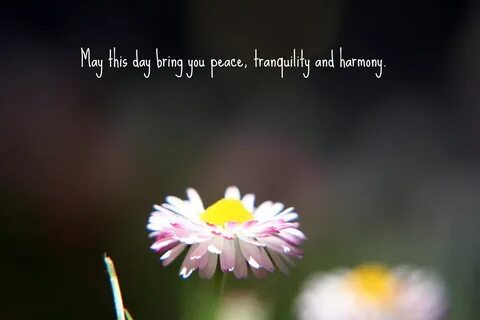 Bring day