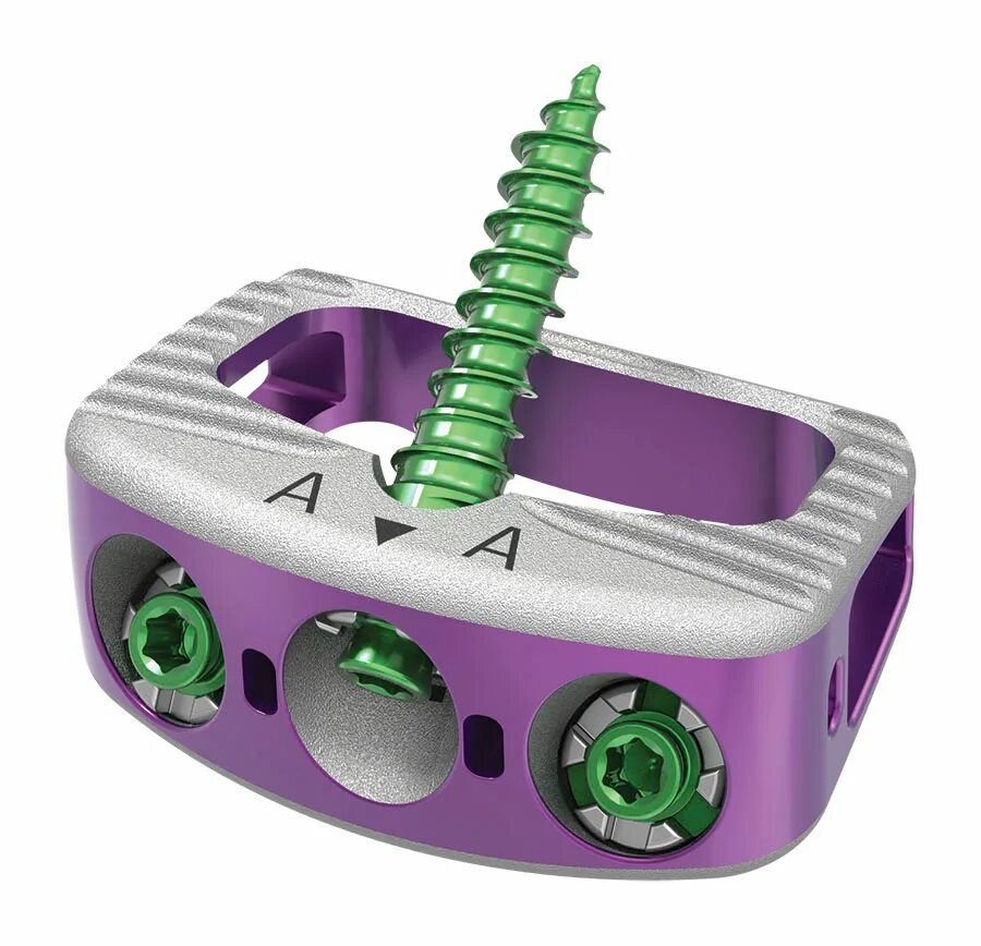 Кейдж Alif. Screw 75494550 Medtronic. 3d devices