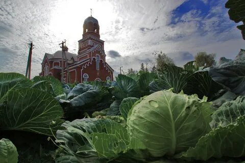 Русский юрмаш уфимский