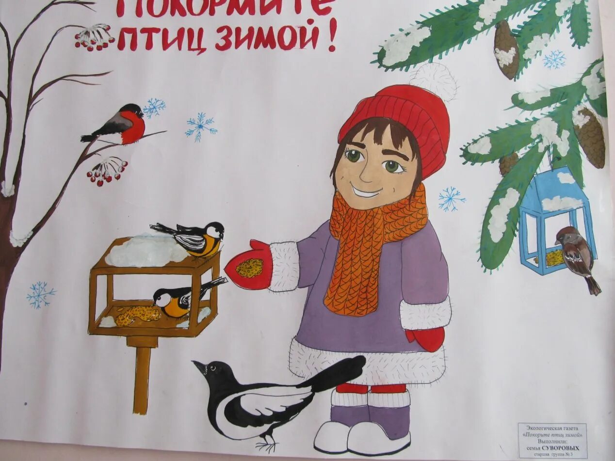 Плакат покормите птиц зимой. Листовка покормите птиц. Плакат птицы зимой. Газета стенд зимующие птицы. Плакат на тему птицы.