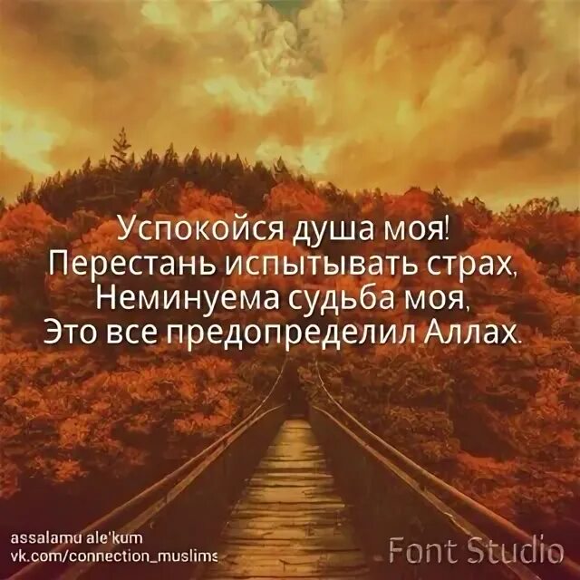 Душа успокойся. Успокойся душа моя. Только в Боге успокаивается душа. Успокой душу.