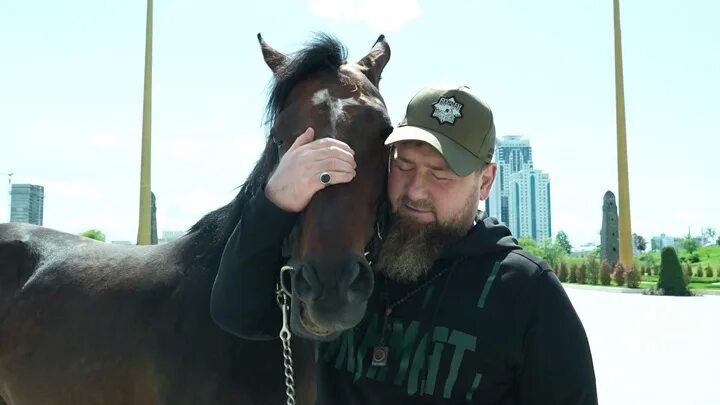 Конюшня Кадырова. Конь президента Чечни. Кадыров домашние животные. Лошадь кадырова