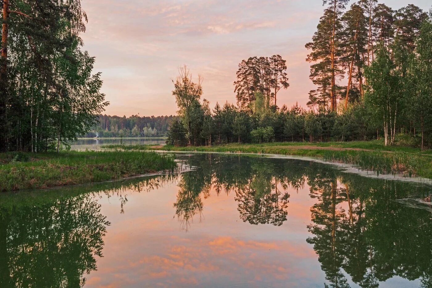 Озеро большое лебяжье казань. Лебяжье озеро воскресенский. Лесопарк лебяжье казань. Озеро борщачье ильиногорск. Большое лебяжье озеро ленинградская область.
