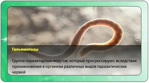 Клизма от глистов