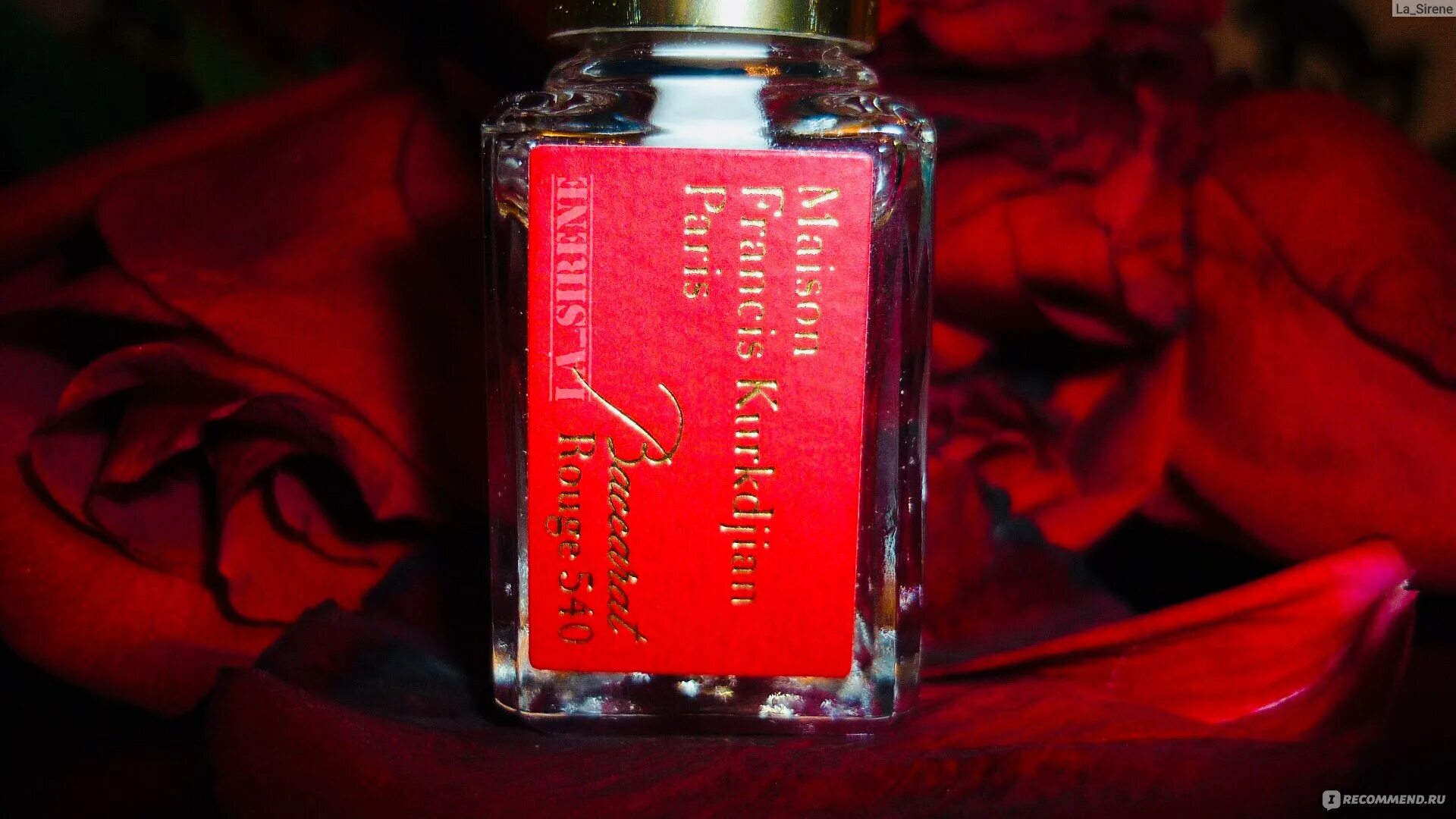 Дымка баккара руж. Бакарат 540 руш. баккара руж 540. baccarat 540. баккара руж роза.