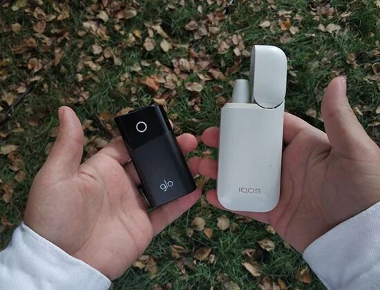 Чем отличается гло от айкоса. Айкос glo. стики для glo и iqos. гло типа айкос. кент для айкос.