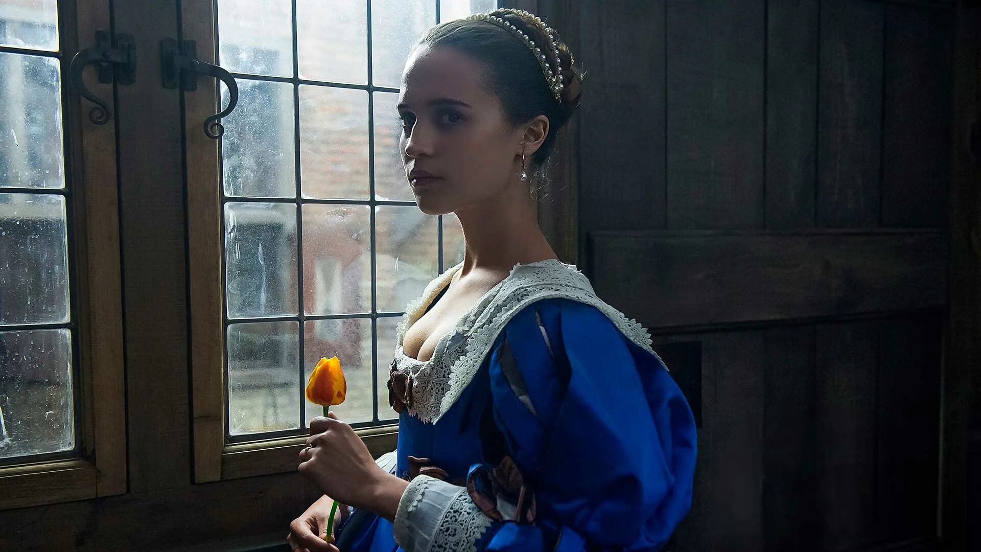 Tulip fever. Tulip fever
