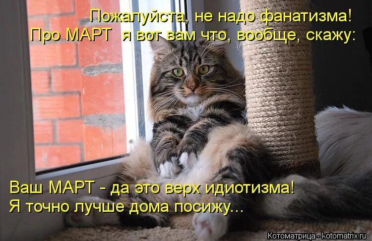 Котоматрицы с надписями. Котоматрица март. Кот интересуется. Шутки про мартовских котов. Смешные картинки про март с надписями