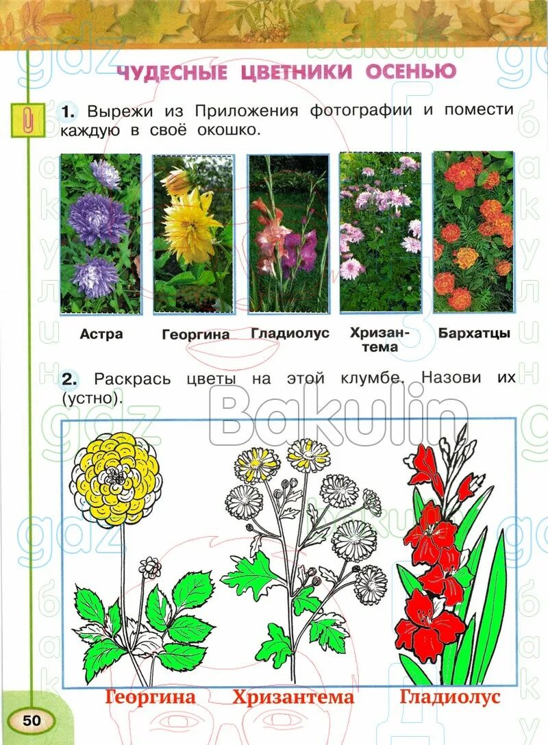 Окр мир тетрадь стр 44. Окружающий мир 2 класс Плешаков Новицкая. Гдз рабочая тетрадь окружающий 2 , 1 часть Плешаков Новицкая. Рабочая тетрадь окружающий 1 часть перспектива. Окружающий мир 2 класс тетрадь стр 41 задание 2 Плешаков Новицкая.