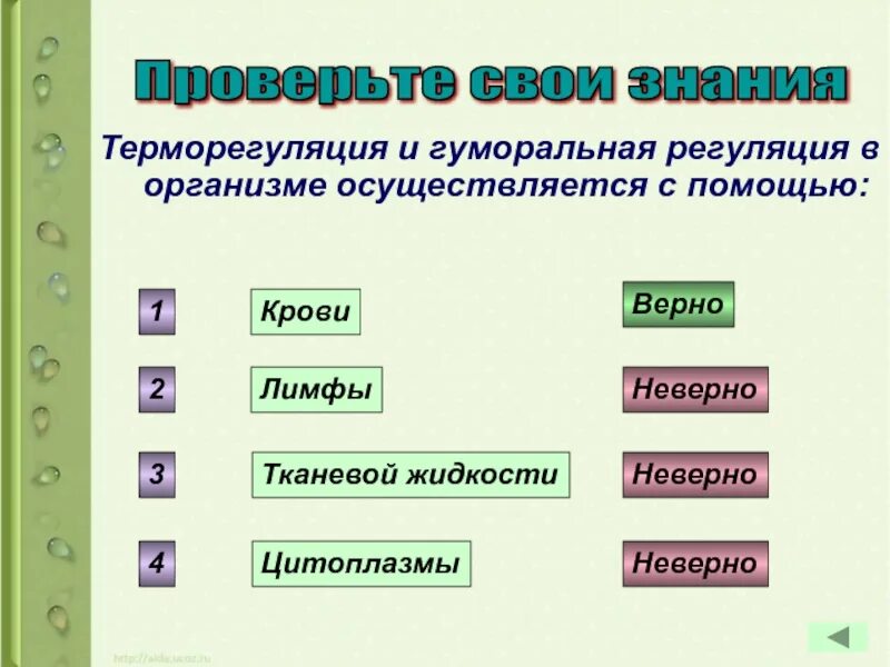 Осуществляется с помощью. Терморегуляцию гуморальную регуляцию в организме осуществляет. 1. гуморальная регуляция в организме осуществляется с помощью:. терморегуляция гуморальную регуляцию в организме осуществляется. гуморальная регуляция в организме осуществляется с помощью тест.