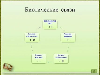 Полезно нейтральные отношения
