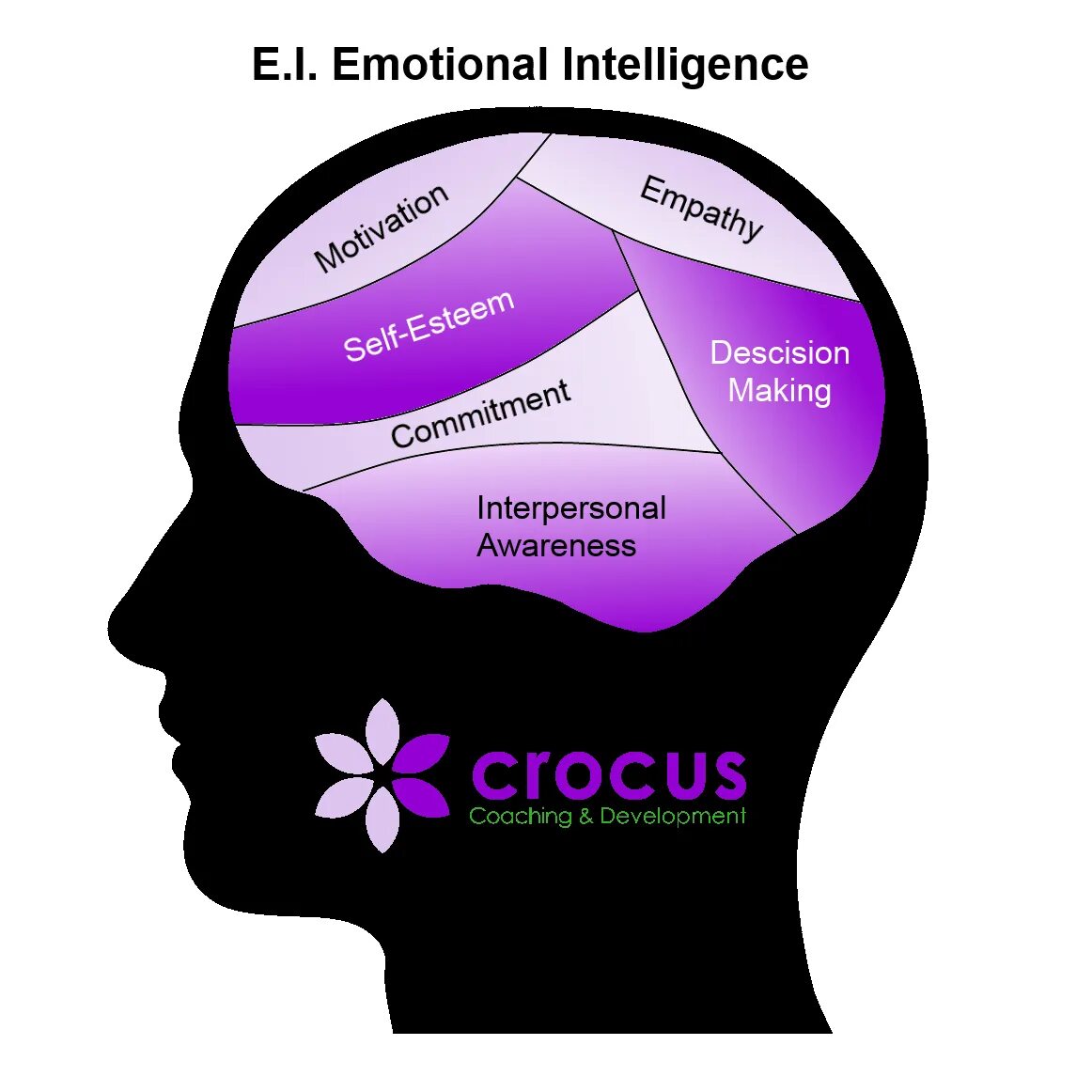 Интеллект intellect. Эмоциональный интеллект. интеллект и эмоциональный интеллект. эмоциональный интеллект картинки. эмоциональный интеллект ei.