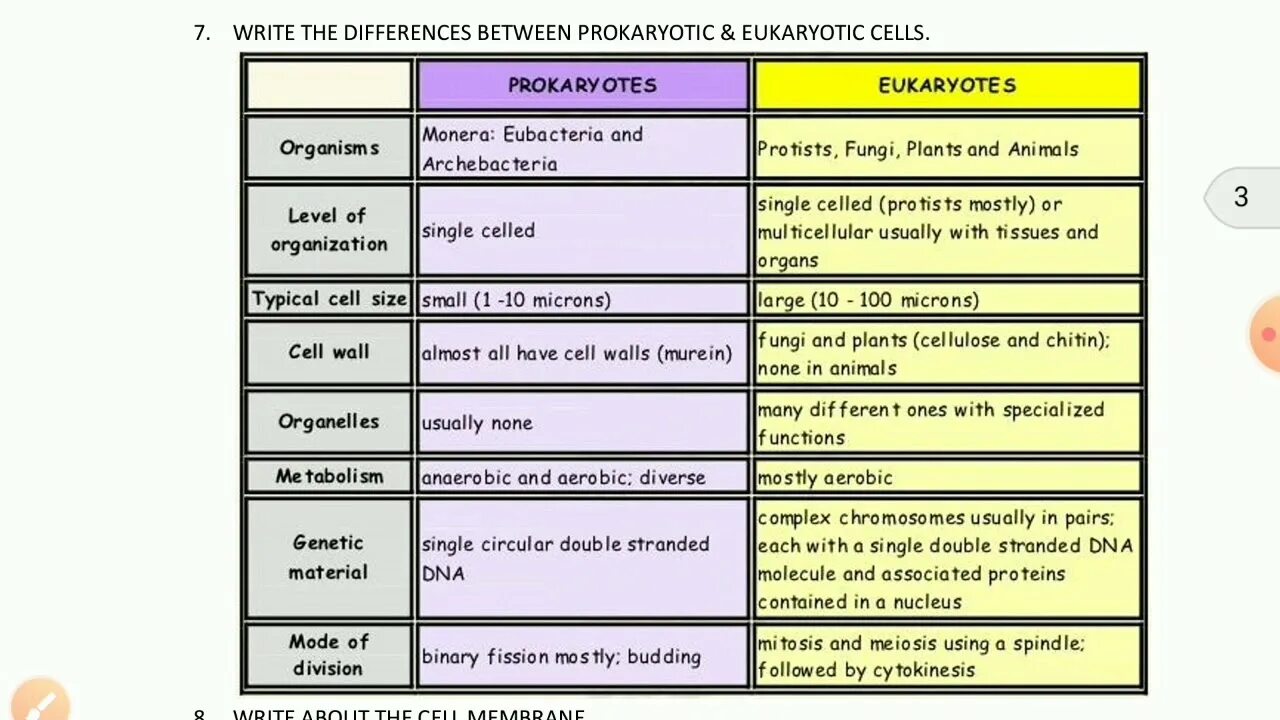 Comparison of different. Compare prokaryotic and eukaryotic Cells.. Prokaryotic and eukaryotic Cell structure. Differences between eukaryotes and prokaryotes. The difference of eukaryotic and prokaryotic Cells.
