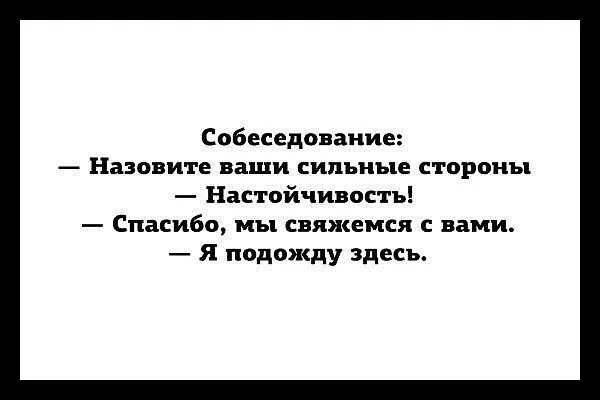 Цитаты про настойчивость. Анекдот про настойчивость. Шутки про настойчивость. Фразы про упорство. Будь на сильной стороне