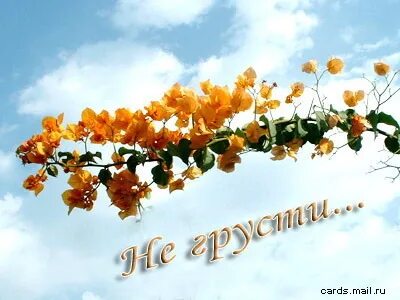 Не грусти не бойся идти песни