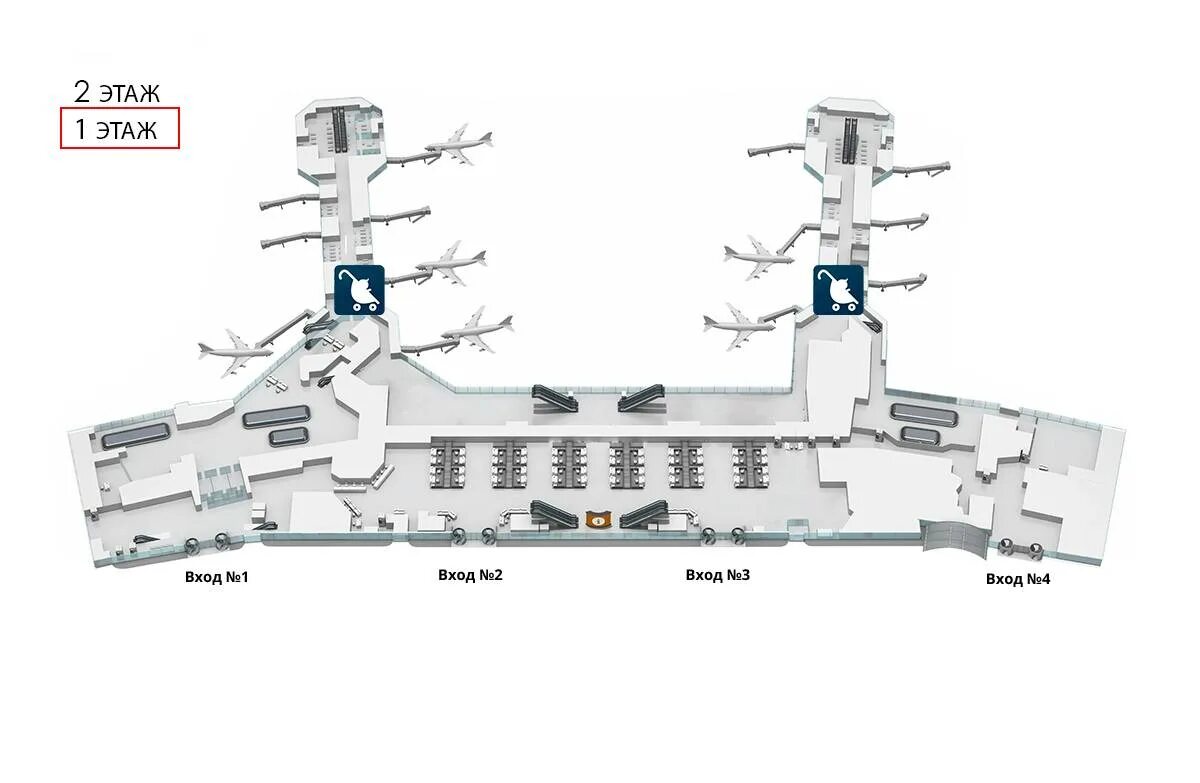 Терминал 1 Домодедово на схеме. Домодедово аэропорт схема терминалов. Схема аэропорта Домодедово внутренние. Схема аэропорта Домодедово 2 этаж. Терминал аэропорта карта