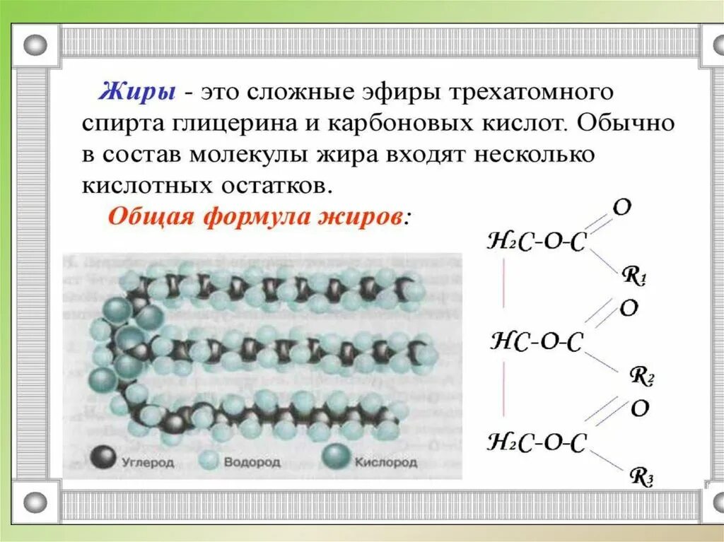 Жиры 0 5 г. Структура молекул жиров. Строение молекулы жира биология. Молекула жира формула структурная. Строение молекулы жира химия.