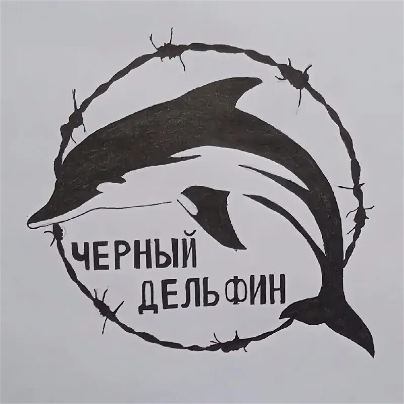 Черный дельфин читать. Соль илецк дельфин. Наклейка черный дельфин. Логотип черный делфин. Черный дельфин читать.