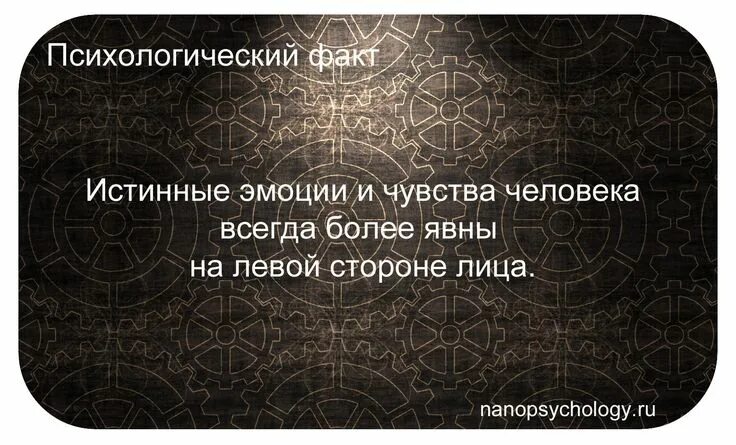 Факт о человеке которого знаешь. Психология человека интересные факты. интересные психологические факты. интересные факты о психологии. удивительные факты о психологии человека.