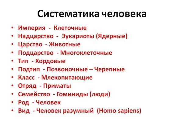 Таблица царство вид отряд. Таксономия хомо сапиенс. Полная систематика человека разумного. Систематическая классификация человека разумного. Систематика человека разумного схема.