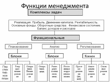 Функций и направления менеджмента