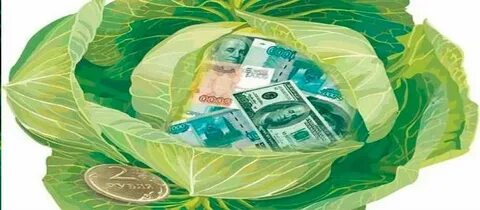 Капуста деньги в долг