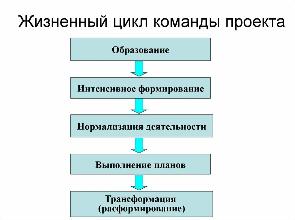 Участники проекта формирование команды проекта. Участники проекта формирование команды проекта