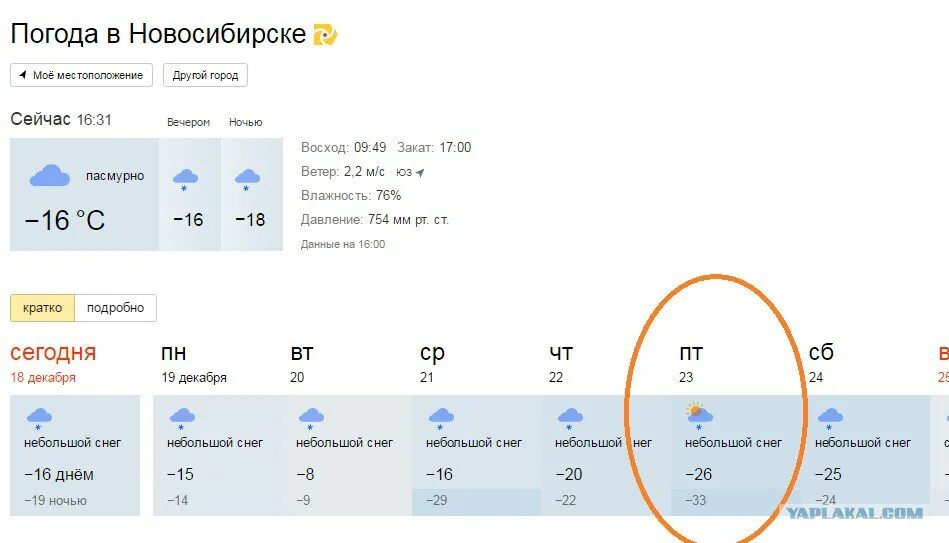 Температура по часам в санкт петербург. Погода в Новосибирске. Погода в Новосибирске сейчас. Полгода в Новосибирске сейчас. Погода в Новосибирске сегодня сейчас.
