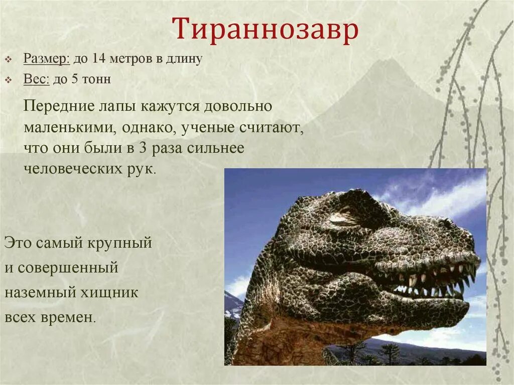 Тирранозавр описание для детей. Сообщение о динозаврах. Тиронозавр информация \. Тираннозавр доклад.