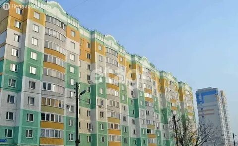 Бирюзовая 8