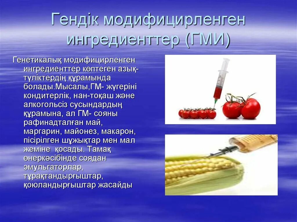 Генетически модифицированные источники. Гендік инженерия. Гендік инженерия презентация. Гендік инженерия эссе. Гендік өзгеріске ұшыраған тағамдар