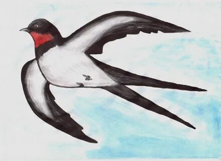 Жыныс мүшесі бар жыныстық қатынас онлайн