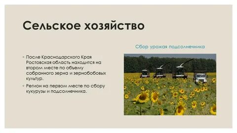 Ростовская область окружающий мир 3 класс