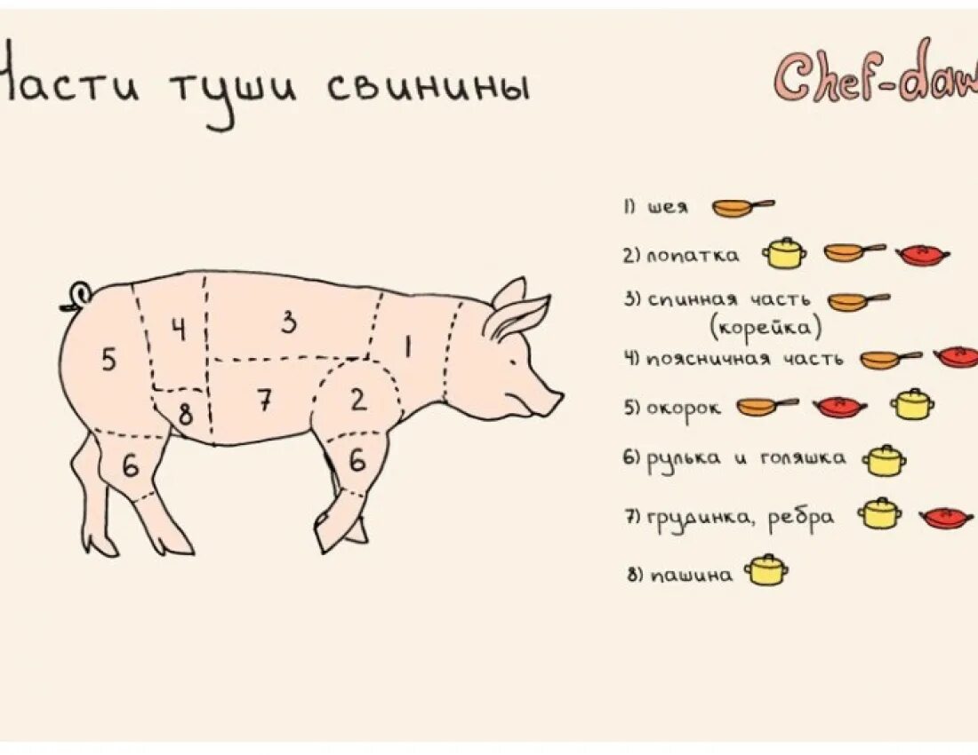 Части разделки свиной туши. Схема разруба туши свинины. Схема разделки свиной туши. Свинья разделка туши схема. Названия частей свиньи