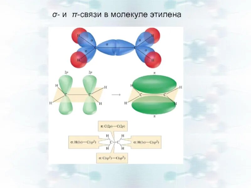 Связи в молекуле этилена. Строение молекулы этилена. Строение этилена. Пространственное строение этилена. Тема этилен