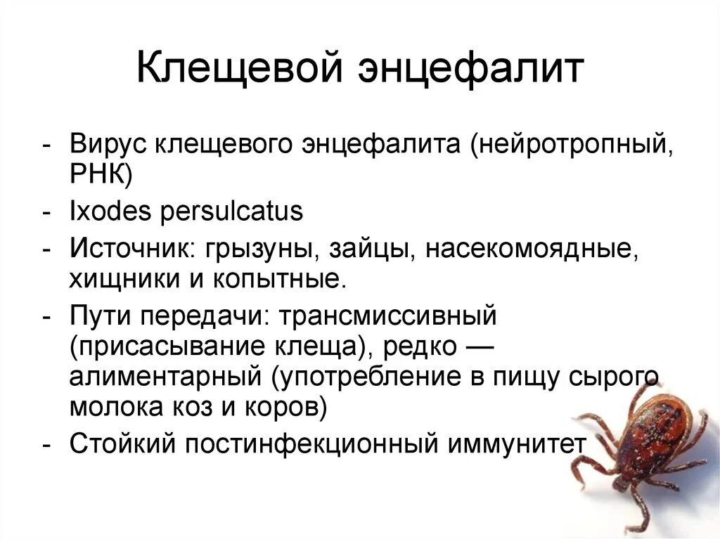 Энцефалит что это за болезнь. Клещевой энцефалит источник инфекции. Механизм инфицирования клещевой энцефалит. Клещевого вирусного энцефалита возбудитель инфекции-. Возбудители клещевого энцефалита передаются.