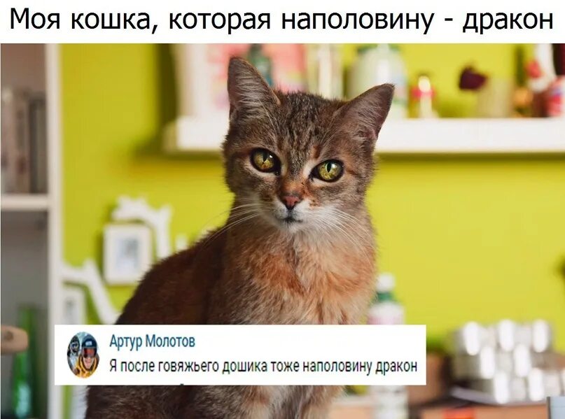 Стакан наполовину пруст наполовину поллок. Белочка ушла. Тоже наполовину. Стакан наполовину пруст поллок. Кот наполовину.