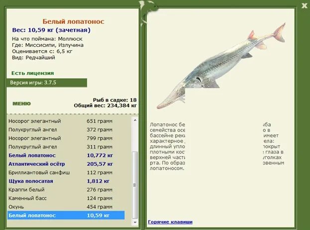 Лопатонос на что ловить #5 My fishing world: Неудачная попытка поймать Лопатоноса YouTube
