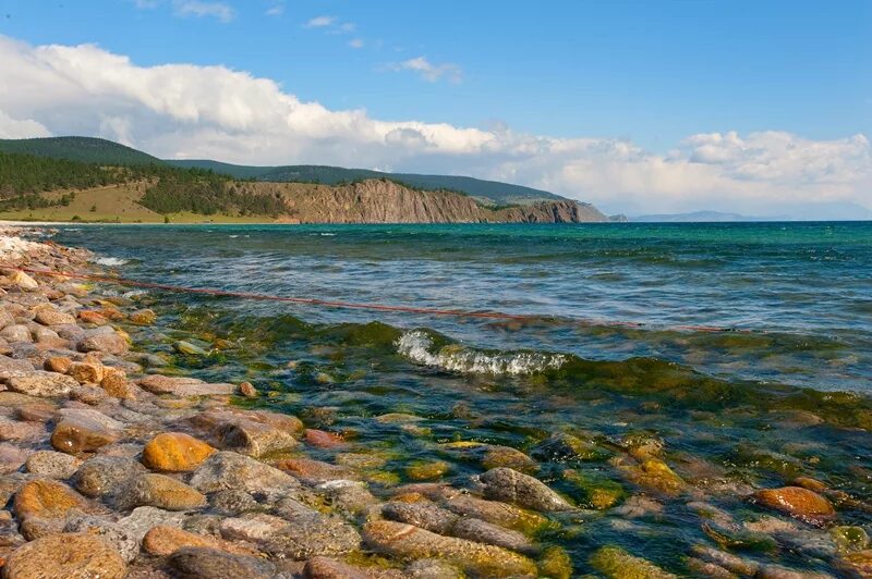 владимирский байкал озеро. байкал пресная вода. байкал жемчужина россии. богатство байкала. байкал пресноводное озеро.
