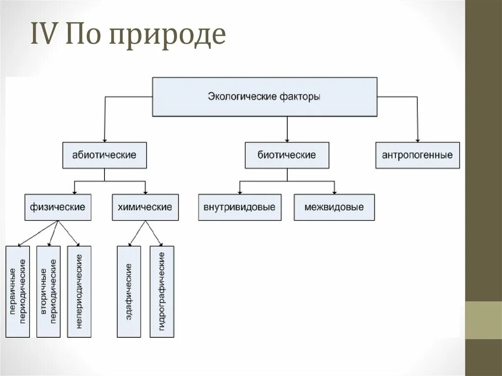 Три фактора окружающей среды. Схема классификации экологических факторов. Схема экологические факторы среды. Экологические факторы схема. Классификация факторов среды схема.