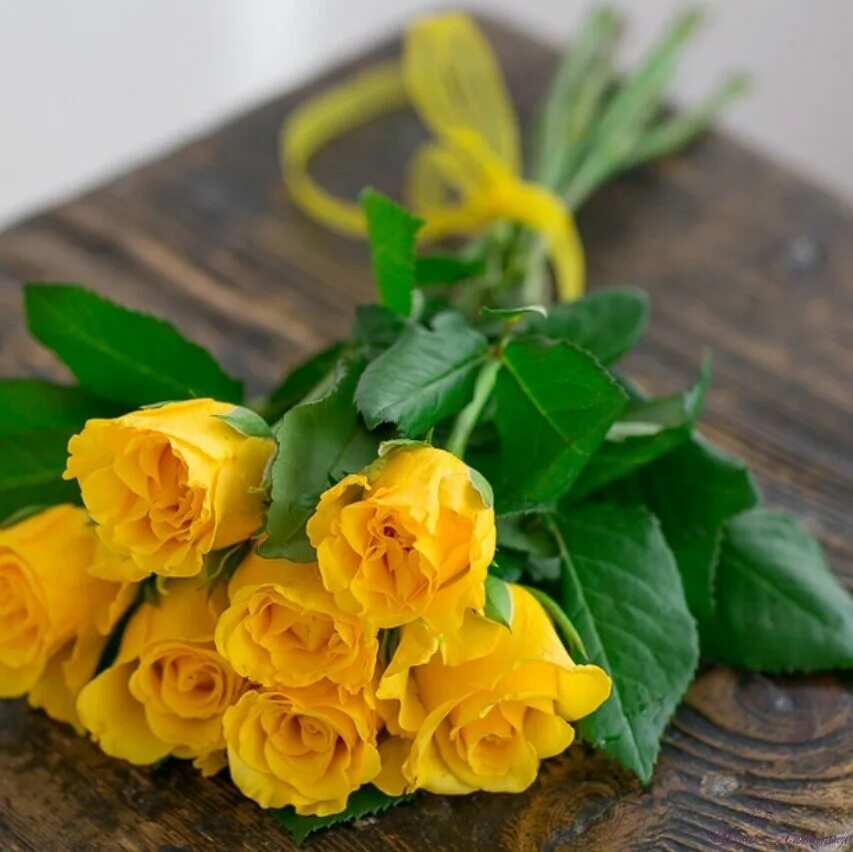 девушка с желтым букетом. дарите желтые цветы. красивый желтый букет. желтые розы к чему дарят девушке. букет желтых роз.