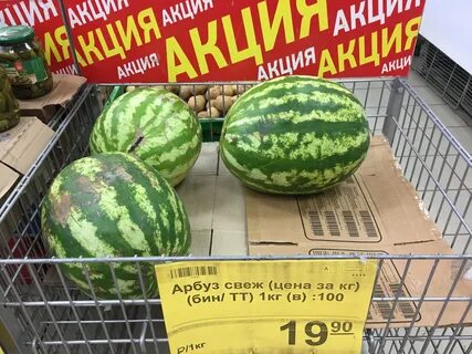 Арбуз 13 кг