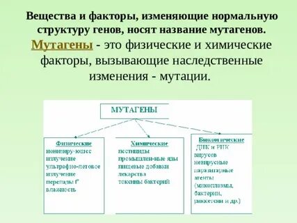 Мутагены окружающей среды