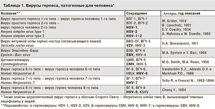 Классификация вируса герпеса 1 типа. Вирус герпеса 6 типа(HHV). ДНК вируса герпеса 6 типа норма у детей. Вирус герпеса человека 2 - вирус простого герпеса 2 типа (ВПГ- II);. Herpes virus 6