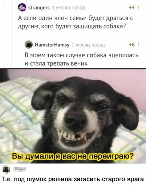 Мем со смеющейся собакой. Мем со смеющейся собакой